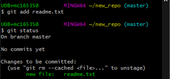 Add a file to be tracked